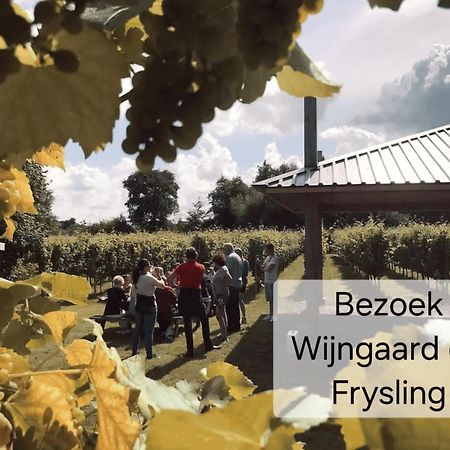 Familychalet De Schaapskooi, 6-Persons, Big Private Garden, Dogs Aloud Westergeest 외부 사진