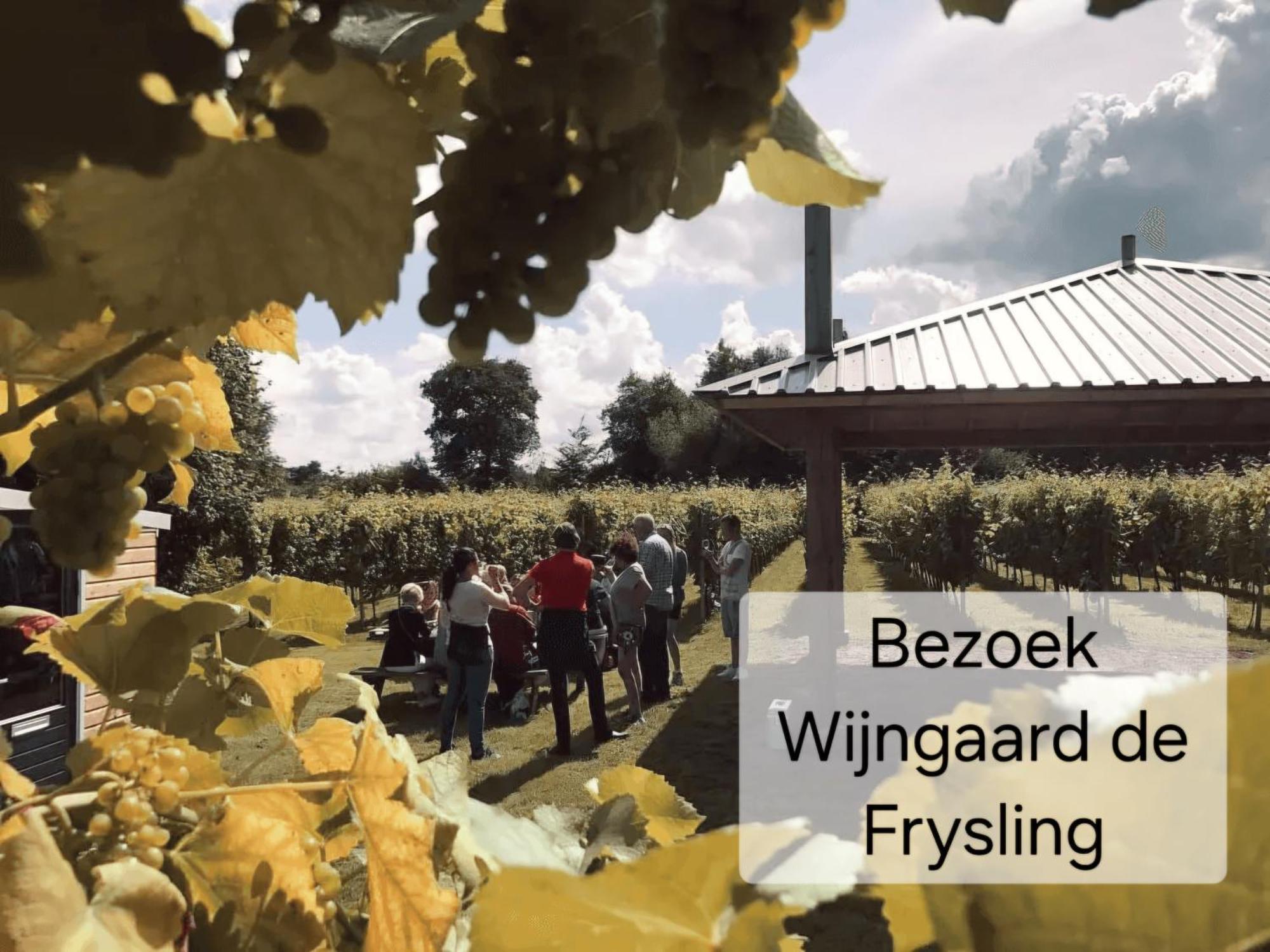 Familychalet De Schaapskooi, 6-Persons, Big Private Garden, Dogs Aloud Westergeest 외부 사진