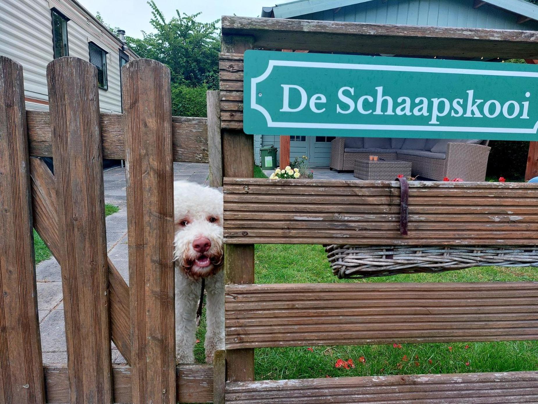 Familychalet De Schaapskooi, 6-Persons, Big Private Garden, Dogs Aloud Westergeest 외부 사진